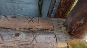 Скользящие опоры и винтовые лифты на деревянном срубе/Год эксплуатации