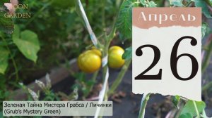 ТОМАТЫ: лунный посевной календарь на АПРЕЛЬ 2024! Когда сажать / сеять семена помидоров на рассаду