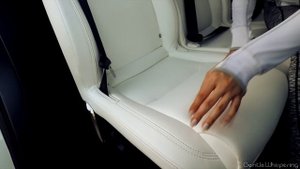 TESLA ASMR EXPERIENCE ??