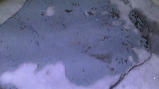 Выходные в угодьях , охота с лайками , разведка территории , есть ли рыба в реке . смотреть онлайн