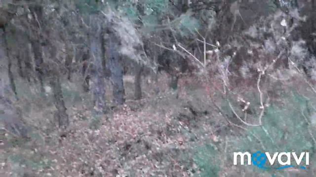 ПО ГРИБЫ С ЛУКОШКОМ... ЗА СЫРОЕЖКАМИ смотреть онлайн