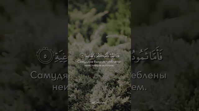 Сура:Аль Хакка(Неминуемое) Аят:1-7 Чтец:Абду-Рашид Али Суфи #quran #religion