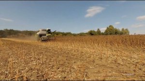 Уборка подсолнечника Ск-5"НИВА".