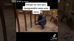 даже детёныши носорога очень опасные