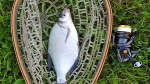 Мормышинг. Домашний водоем, ранним утром 16 июля 2024 года