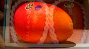 Самые дорогие фрукты в мире. ЭКЗОТИЧЕСКИЕ ФРУКТЫ. Удивительные фрукты