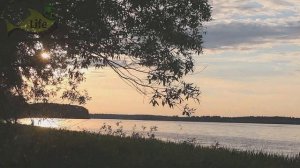 Толковое обучение ловли щуки в июле! Как на что и где ловить щуку? щука в жару как ловить?