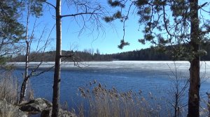 Нижнее Подосиновское Озеро \ Серия 1