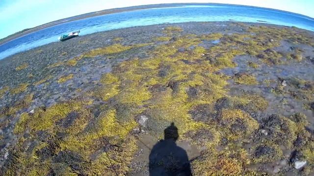 #24 На мыс Парусница | Амбарный - Кузема 2018 | Приключения на байдарке смотреть онлайн