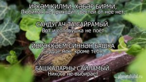 Татарские песни с переводом на русский I Сайра, әйдә, сандугач - Давай, спой, соловушка I Фирдус