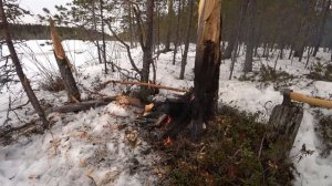 Рыбалка капканами, есть щука.