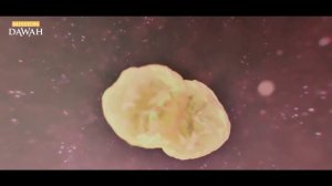 НАУКА В ШОКЕ ОТ ЧУДЕС В КОРАНЕ!