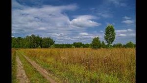 Сергей Есенин. «Мелколесье. Степь и дали...» (1925). Читает Ярослав Годованый
