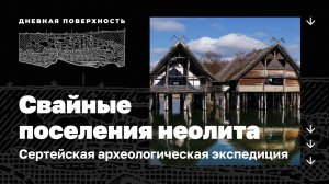 Свайные поселения неолита. Сертейская археологическая экспедиция. Дневная поверхность