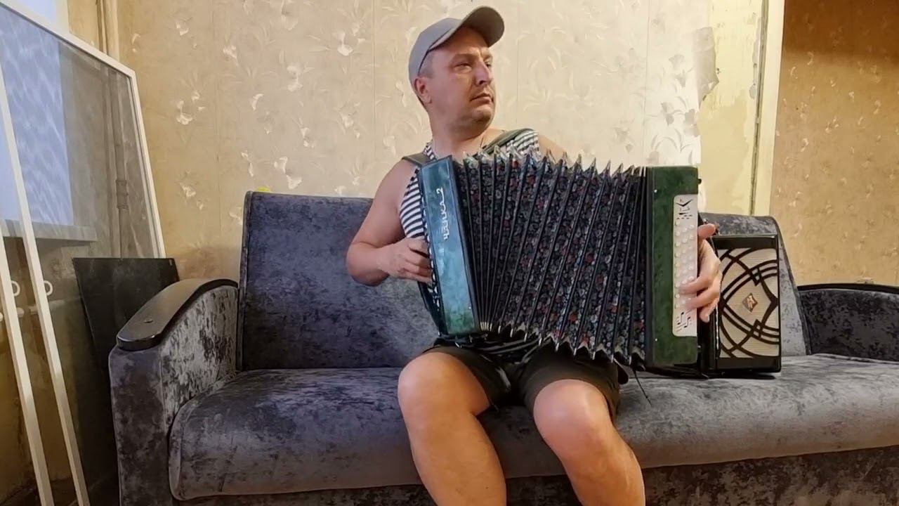 Гармошки Чайка2 и Чайка2. смотреть онлайн