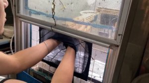 Чёрная Львинка просто оставил все как есть