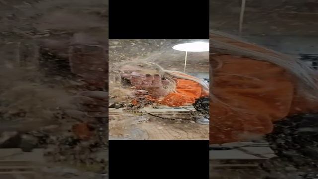 ФОТОСЕССИЯ смотреть онлайн