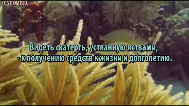 К чему снится Скатерть сонник, толкование сна