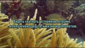 К чему снится Скатерть сонник, толкование сна