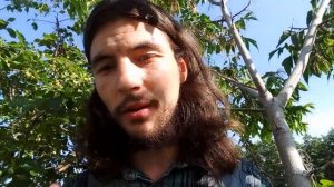 Что такое богослужение? Виды богослужения