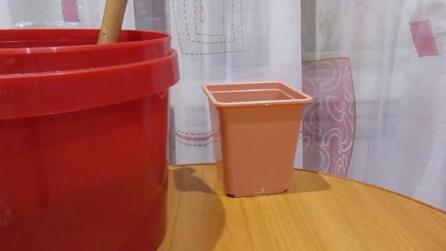 Лучшая побелка для деревьев