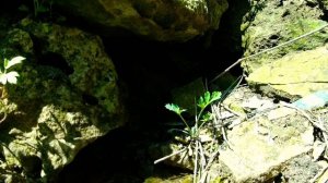 Солдатский и Глазной - Родники Аркатово .