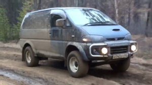 старекс и делика