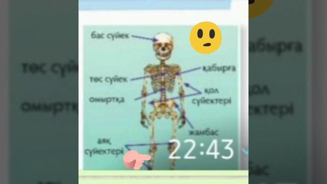 Жаратылыстану пәні.2кл.Қаңқа құпиясы смотреть онлайн