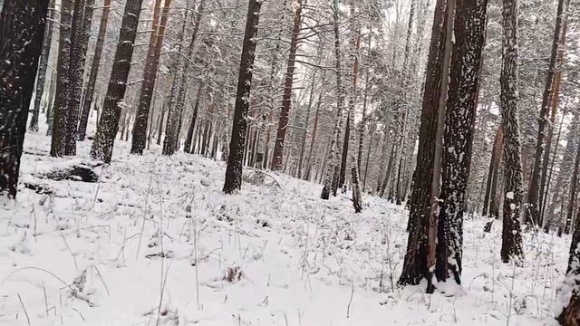 В поисках гриба бессмертия. Болталогический поход смотреть онлайн