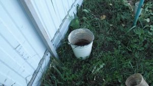 ЭКО подкормка клубники для вашего огорода. Биогумус.