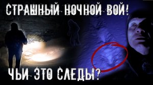 Страшный ночной вой в заброшенной ГЭС. Чьи это следы! (2 часть)
