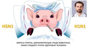 ВИРУС ГРИППА. КАК ПЕРЕДАЕТСЯ ВИРУС ГРИППА? КАК ДОЛГО ЧЕЛОВЕК ЗАРАЗЕН ПРИ ГРИППЕ?