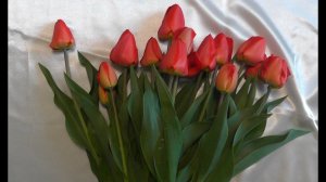 Как сделать тюльпан из фоамирана