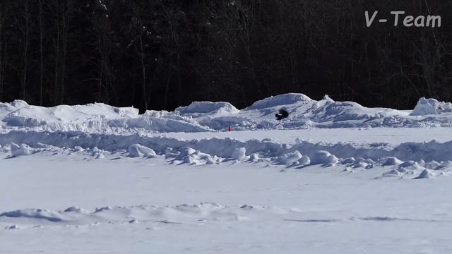 Уиппеты ANYUTINY GLAZKI ELVIN JONES (К) - Вальпайн Пэк Бонанза (С). МЗ - 2018. смотреть онлайн