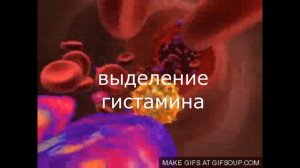 аллергия на пыльцу