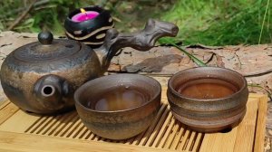 С Международным Днём Чая! Чаепитие в сосновом лесу.