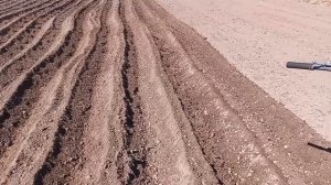 мотоблок мтз 15 л.с.С окучником.
