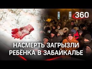 Девочку растерзала стая собак: жители вышли на народный сход и начали отстрел сами. Реакция властей