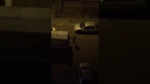 Типичный Воронеж