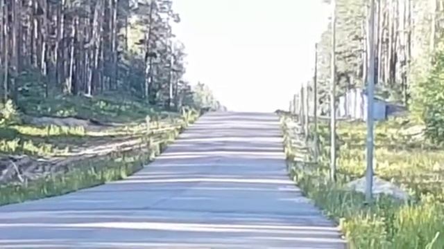 Барс Эндуро смотреть онлайн