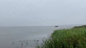 Озеро Великое в Рязанской области