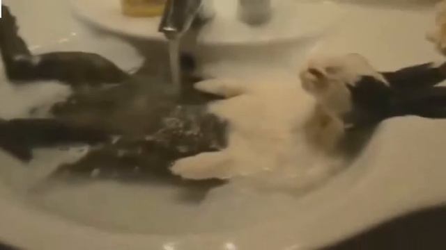 Ютюб приколы видео смотреть. Приколы 2014.
