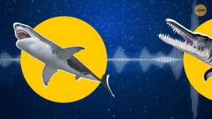 Черные дыры и другие загадки мирового океана