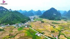 Diễm Trang Bolero ? RU NGỦ VỀ ĐÊM | Lk Bolero Rumba Mới Nhất ?Ngọt Ngào Say Đắm Con Tim