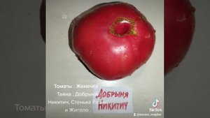 Томаты Женечка , Таяна , Добрыня Никитич , Стенька Разин и Жиголо.