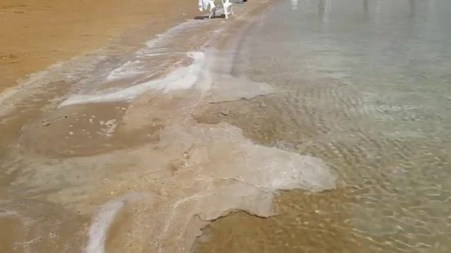 Мертвое море Израиль или почему в Израиле надо обязательно побывать на Мертвом море смотреть онлайн