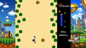 Zippy Race (NES)