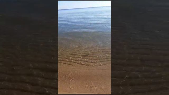 Вода не раскрывает своих секретов...