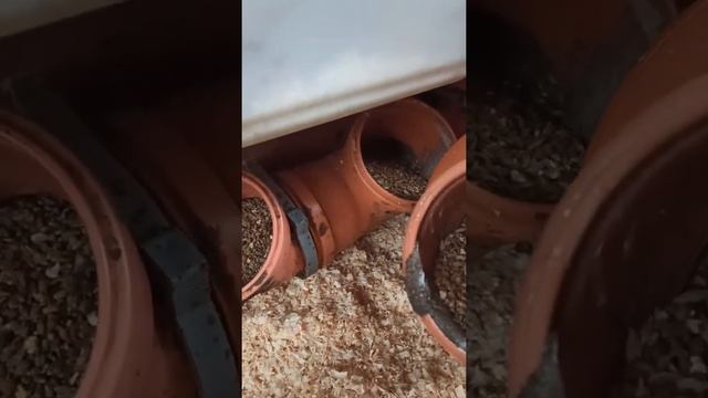 Обустройство курятника, автономка