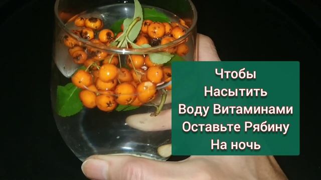 ЖИВАЯ ВОДА от 15 болезней! Делаю из обычной ВОДОПРОВОДНОЙ всего за 1-2 часа! ЛАЙФХАК для дома! смотреть онлайн